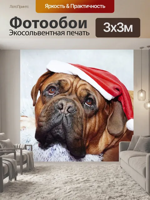 Фотообои Животное