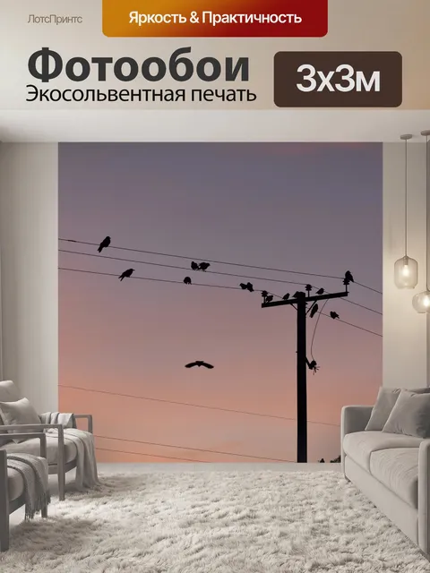 Фотообои Телеграфные провода