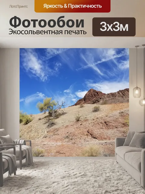 Фотообои Аризонский пустынный пейзаж