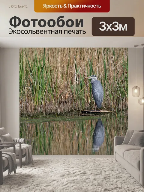 Фотообои Цапля