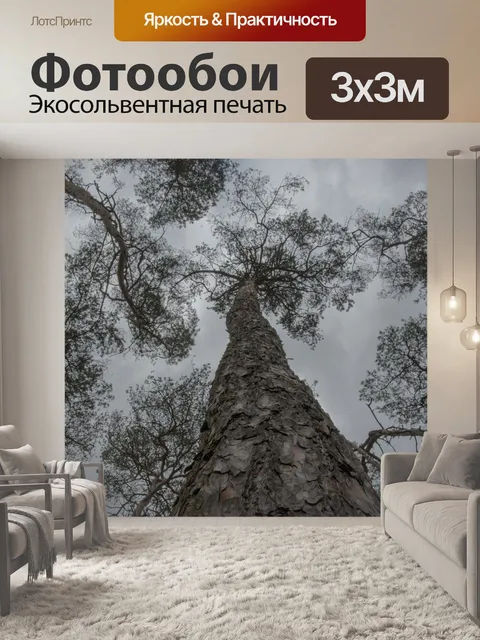 Фотообои Деревья