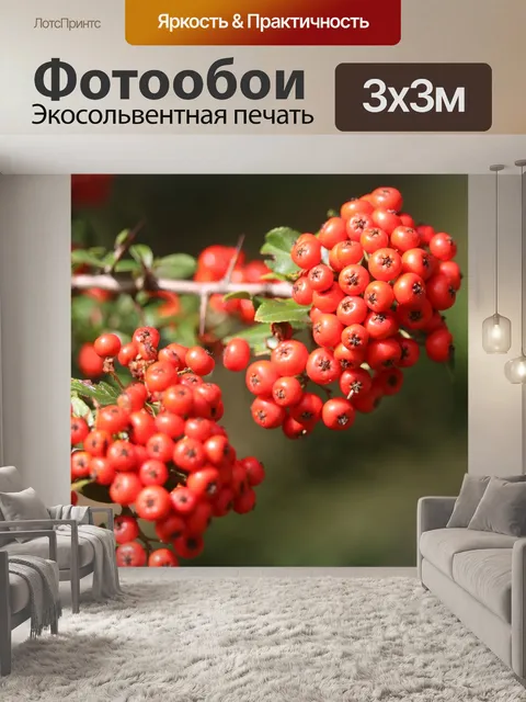 Фотообои Красный
