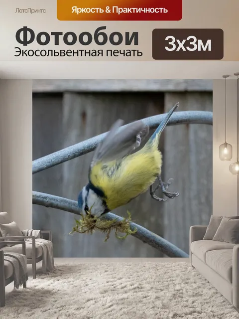 Фотообои Лазоревка