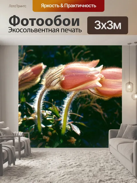 Фотообои Прострел