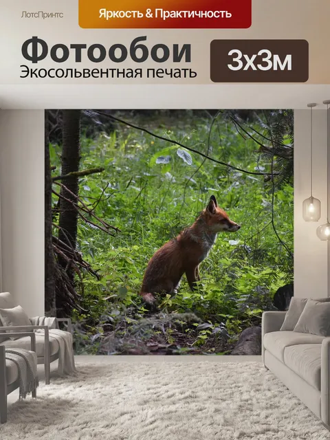 Фотообои Ноя