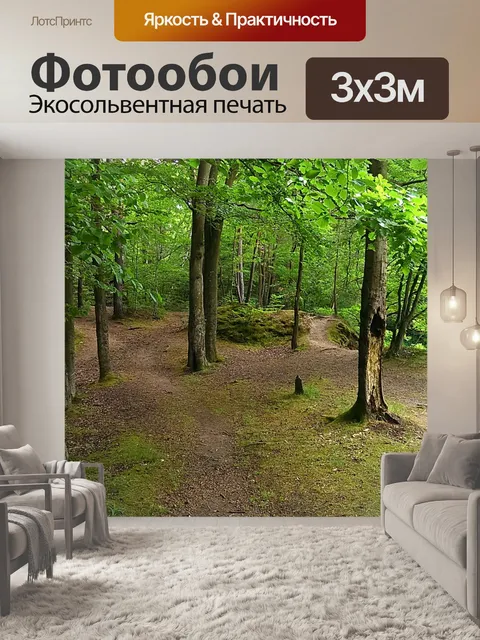 Фотообои Лес