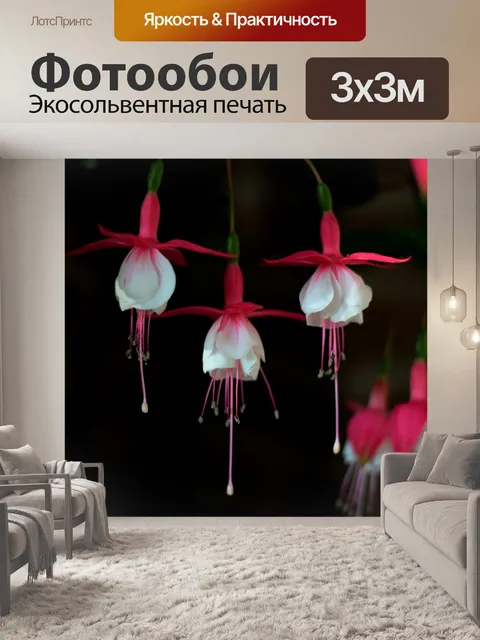 Фотообои Фуксия магеллания