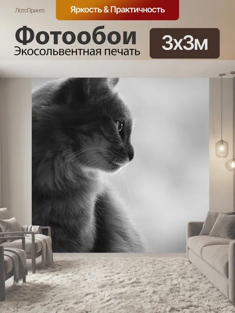 Фотообои Кошка