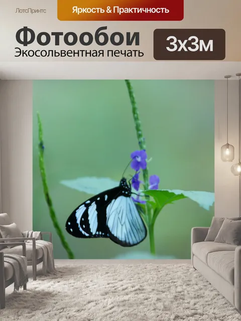 Фотообои Бабочка