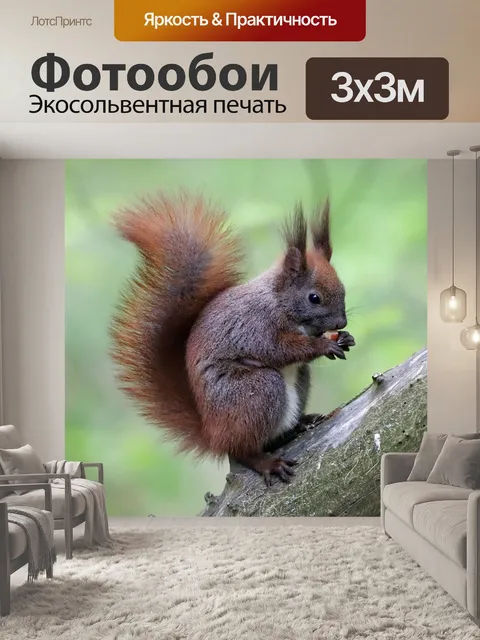 Фотообои Белка