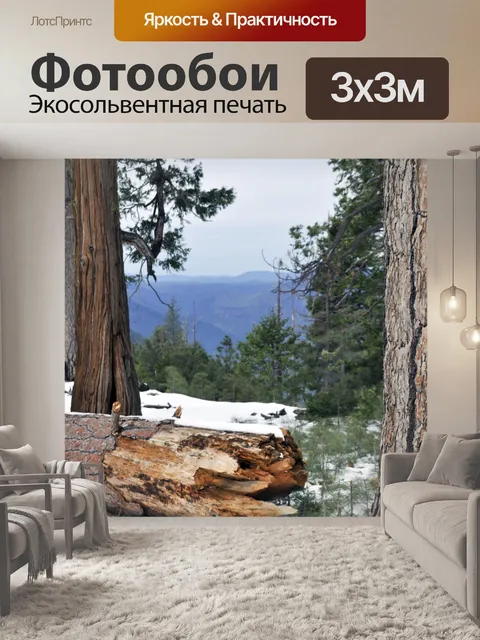 Фотообои Вход в Снег