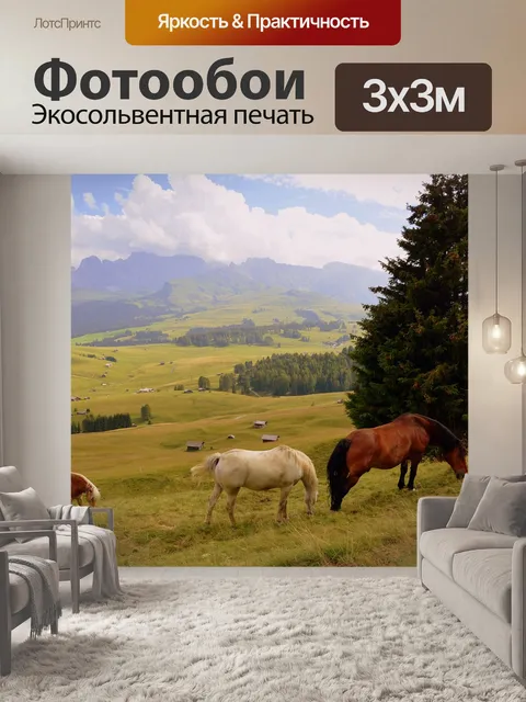Фотообои Лошадь