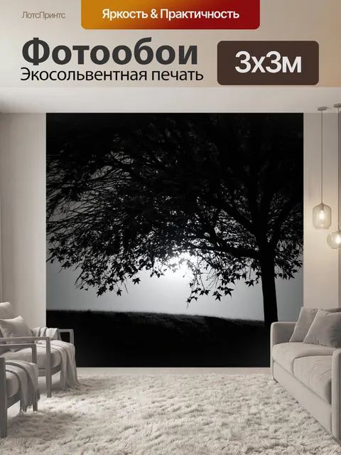 Фотообои черно-белый: лунный свет, проникающий через листву деревьев, создавая ауру таинственности