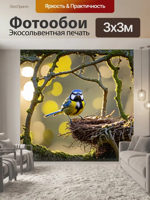 Фотообои голубая синица, исследующая старую, заброшенную птицам гнездо, затенённая мягким светом вечернего солнца
