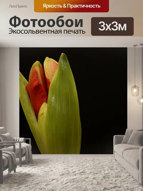 Фотообои Амариллис