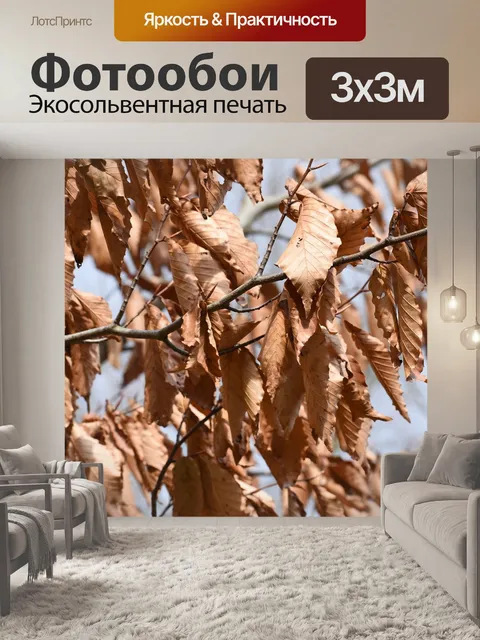 Фотообои Покинуть
