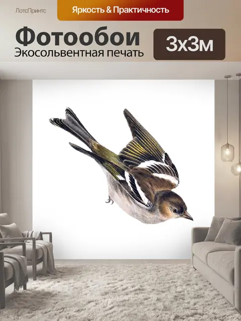 Фотообои Женский зяблик в полете