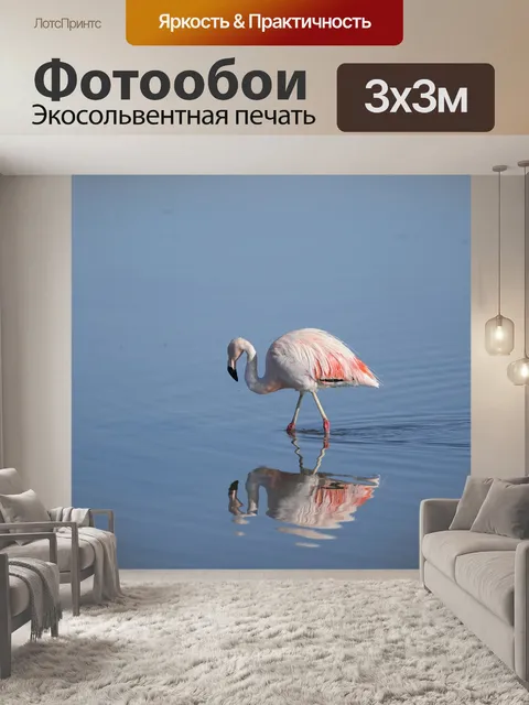 Фотообои Птица