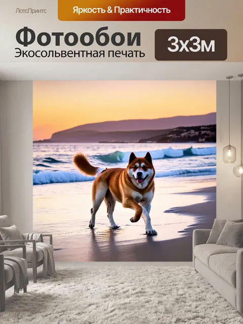 Фотообои акита-ину, гуляющая вдоль побережья моря, где нежные волны касаются песка