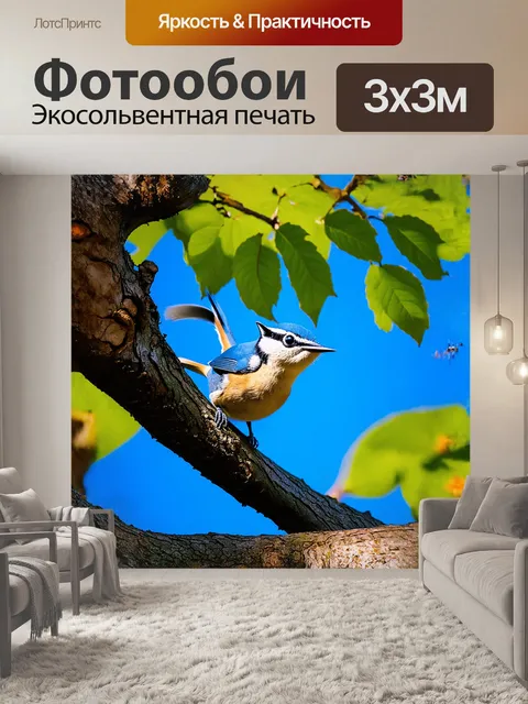 Фотообои молодой поползень, маленький и игривый, бегает по веткам, его хвостик весело поднимается