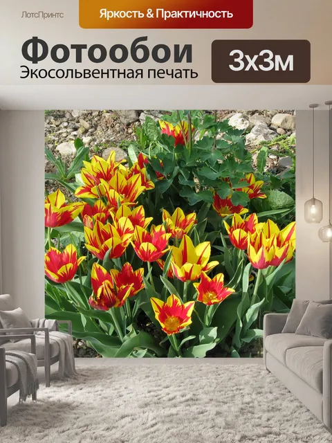 Фотообои Весна