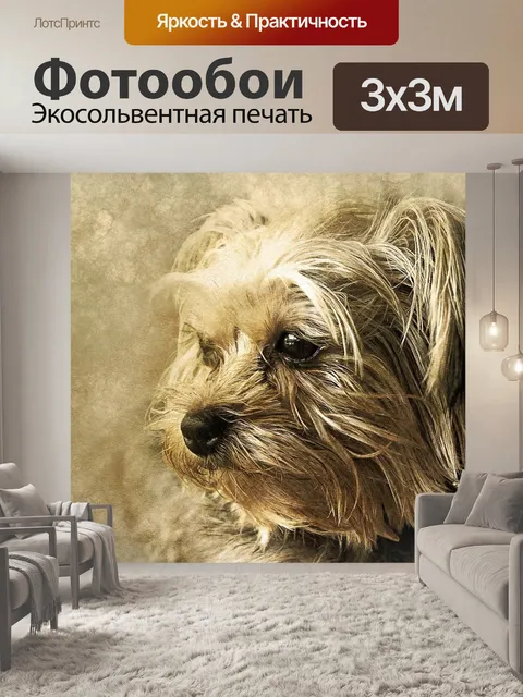 Фотообои Собака