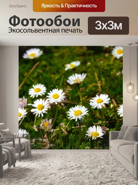 Фотообои Цветы
