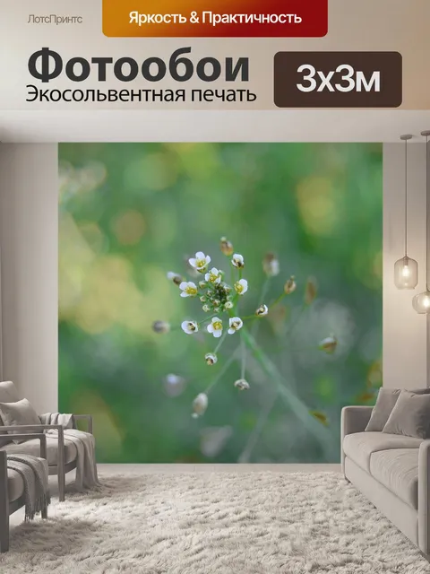 Фотообои Цветы