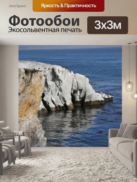 Фотообои Океанские скалы с птицами-бакланами