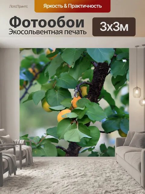 Фотообои проблеск абрикосов