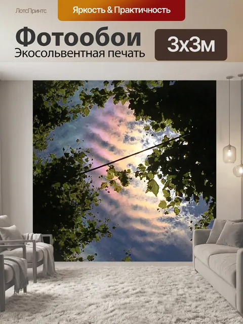 Фотообои Солнечный зайчик