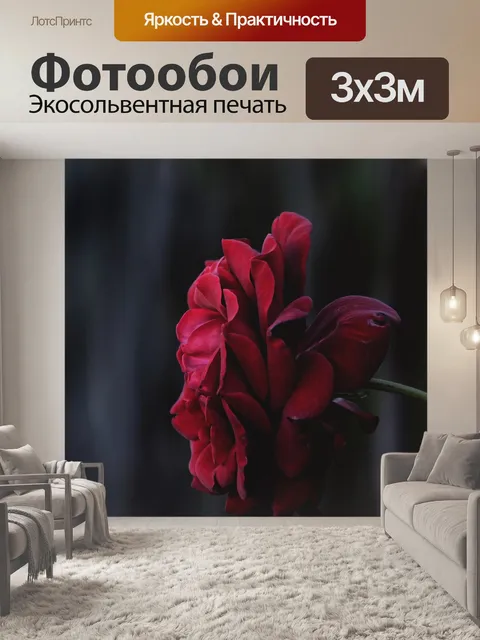 Фотообои Роза