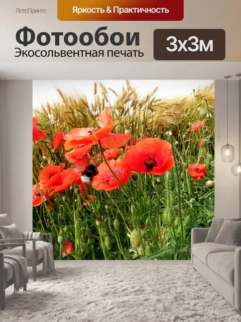 Фотообои Цветы мака