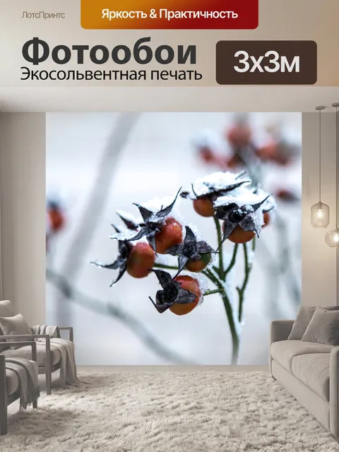 Фотообои Шиповник Зимой