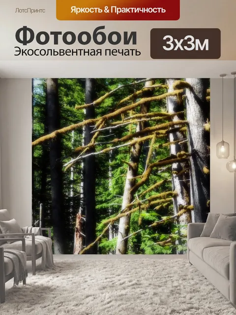 Фотообои Лес