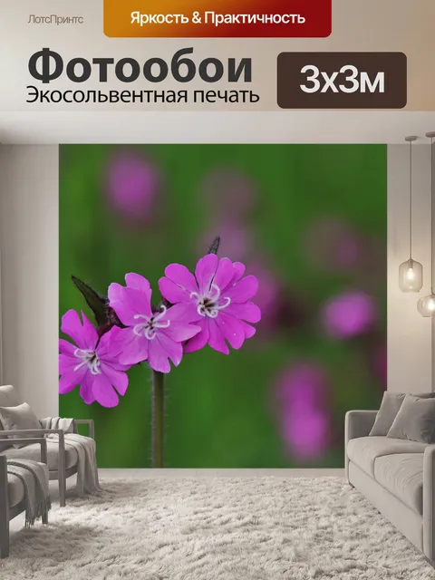 Фотообои Полевые цветы