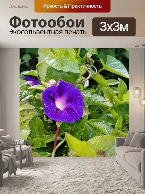 Фотообои Цветок