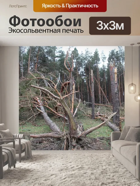 Фотообои Дерево