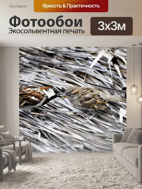 Фотообои Воробьи