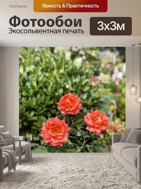 Фотообои Розы