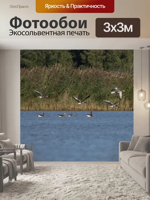 Фотообои Озеро