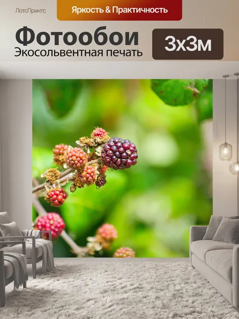 Фотообои Дикие ягоды