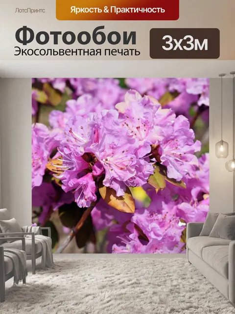 Фотообои Цветы