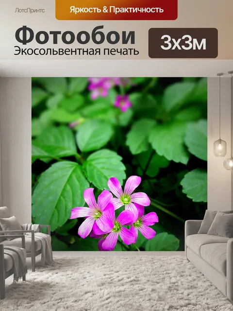 Фотообои Цветы