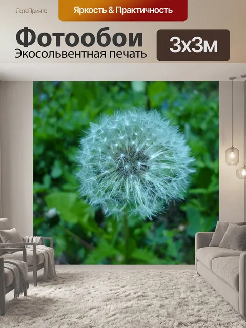 Фотообои Одуванчик
