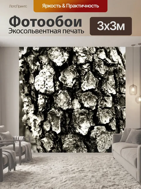 Фотообои Изучение коры дерева я