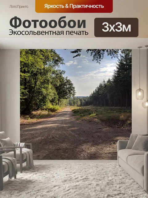 Фотообои Путь