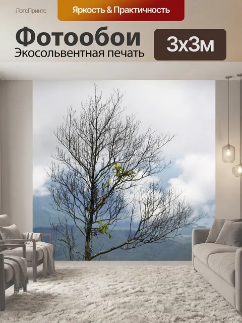 Фотообои Горы