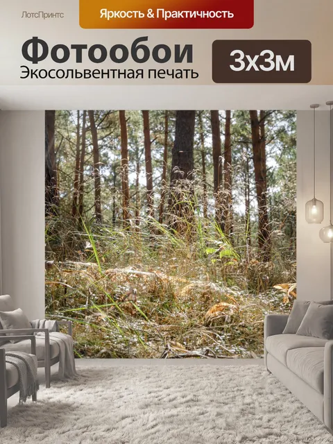 Фотообои Сосна в лесу