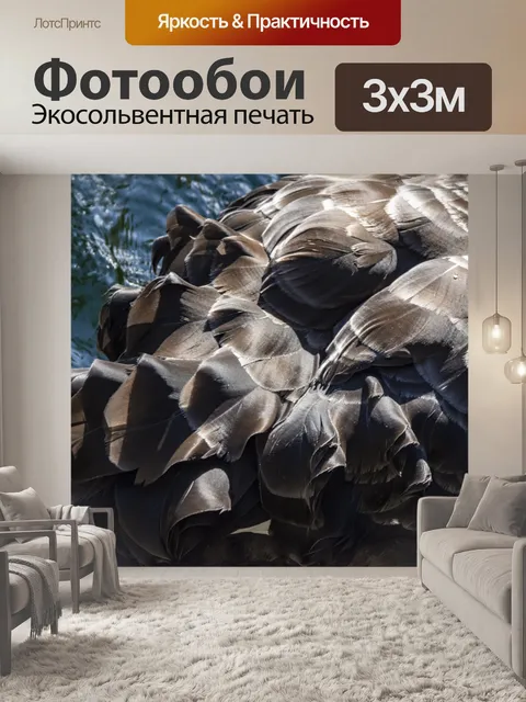 Фотообои перья черного лебедя